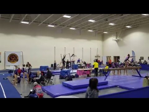 2016-01-08 Gabrielle Johnson Vault