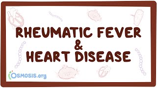 Rheumatic fever & heart disease- an Osmosis Pr