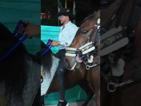 how we enjoy a great night of horseback festivities in San Roque, Antioquia. Pure Colombian pride🐴