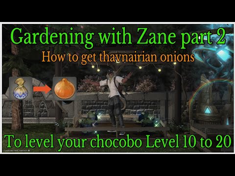 How to get thavnairian onions through gardening