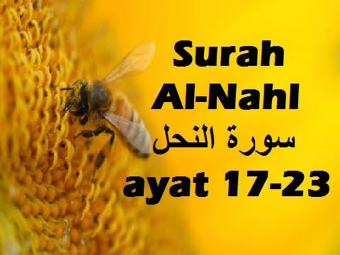 2013/03/04 Ustaz Shamsuri 769 -  NE2 Surah An Nahl ayat 17-23