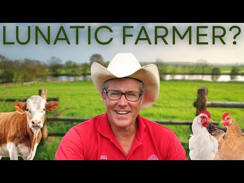 Joel Salatin and I Talk About Modern Food Security and Raising Kids Who Actually Care