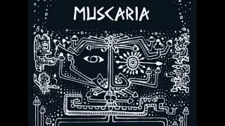 Muscaria - Human Fantasy