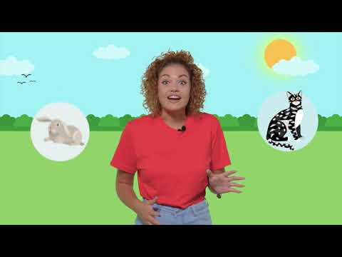 Episodju Nru 26 – L-annimali domestiċi