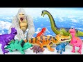 Evolution of GREEN LONG NECK DINOSAURUS T-REX  vs WHITE KING KONG in Jurassic World Ev 2 Sharkzilla