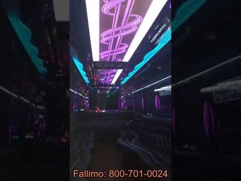 Fallimo video.