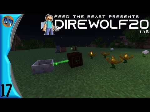 DireWolf20 Episode 17: Flower Power