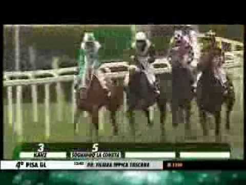 Premio Filiera Ippica Toscana 2014 (CONDIZIONATA)