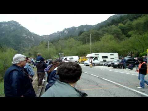 34° Rally 1000 Miglia