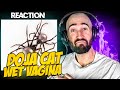 DOJA CAT WET VAGINA FIRST TIME REACTION
