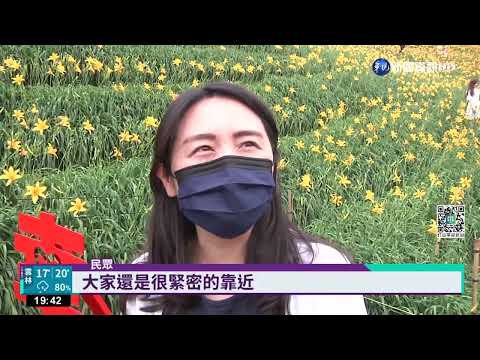 虎山巖金針花海湧3千人 交通.人流管控