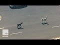 A high-speed llama chase in Arizona gripped the.