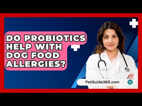 Do Probiotics Help With Dog Food Allergies? - PetGuide360.com