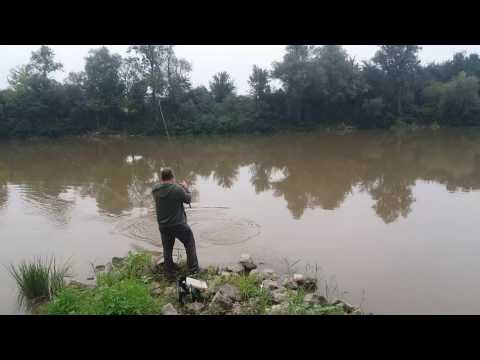Catfish full video