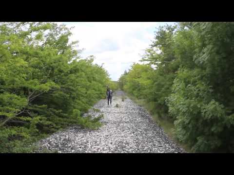 TRAILER FINAL RECKONING 2: THE REVENGE OF VLADIMIR (V.1.0)