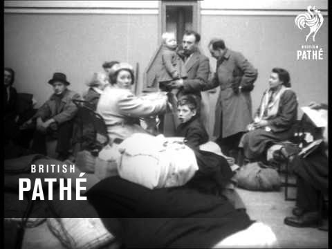 21 Devastating Photos Of The North Sea Flood Of 1953