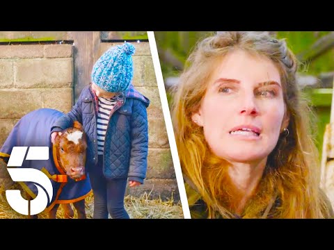 Emotional Story Of Clem & Her Calf | Our Yorkshire Farm | Channel 5