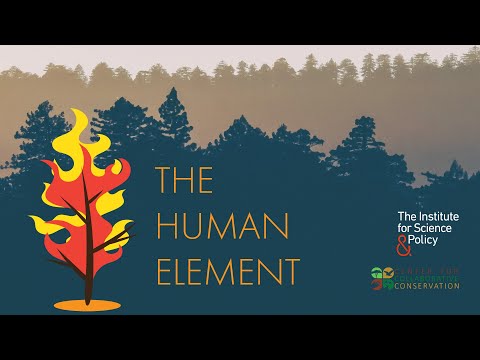 The Human Dimension of Wildfires