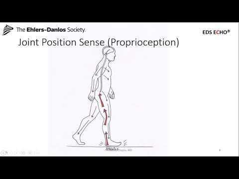 EDS ECHO Clinicians North America (CLN2A), Session 4