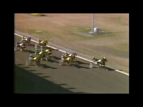 Tipsextra med V65 från Solvalla 28 april 1984.