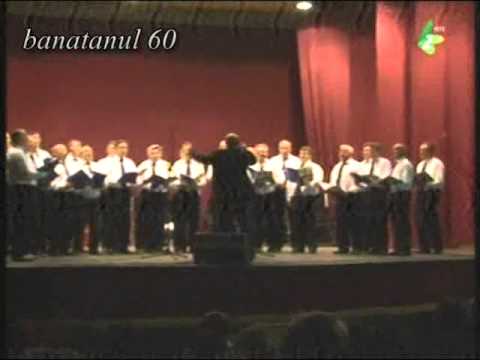 Corul bărbătesc al Consiliului Național