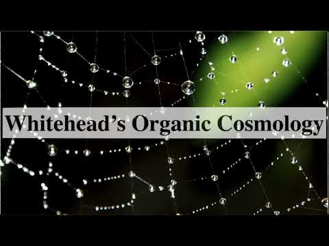 Alfred North Whitehead: His Life and Work