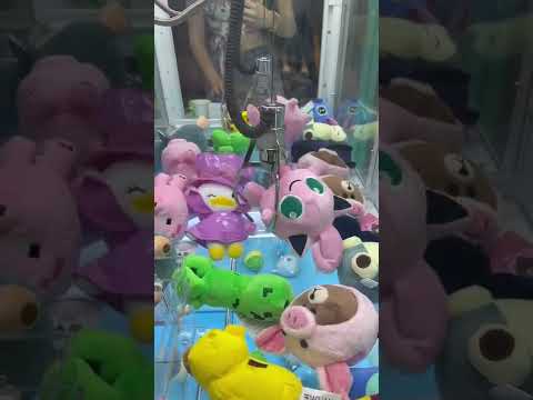 Doll Catcher Pokemon