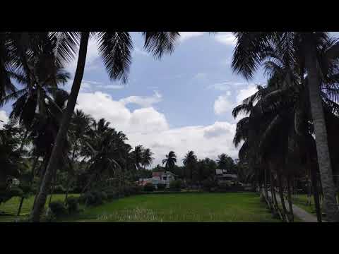 LG G8X -60FPS -Time lapse Video