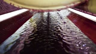 Angular | BEAwA #82 - Introduction [By Mosh Hamedani]