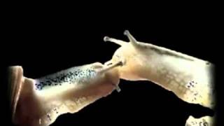 j veux d la tendresse.wmv