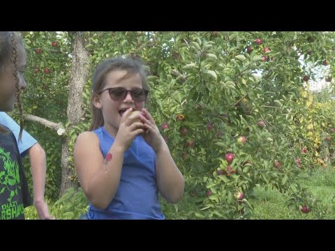 Chazy Orchards celebrating 100 years