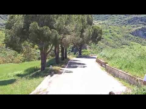 Rally Targa Florio 2021 Targa 2 WRC CIR 🎥Massimo Collerà