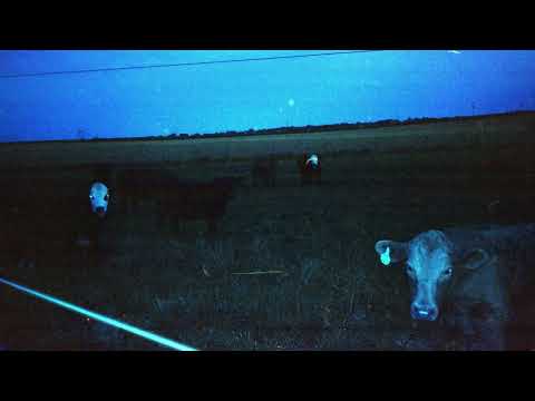 Video thumbnail for Freak Me Out