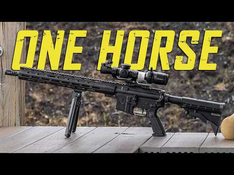 One Horse OH-15 Review | Best Budget AR-15?