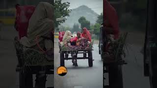 Download lagu | Chal Musafir Chal kahin | Jeetendra, Jaya Prada, | Mohammed Aziz || #love #song #songs #dance mp3