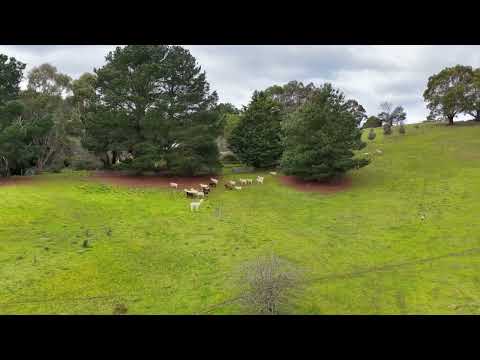 131 Greendale-Myrniong Road, Greendale, VIC 3341, 2 chambres, 1 salles de bain, Section