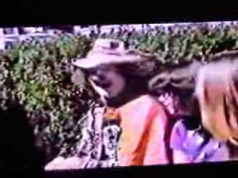 1980 Nobody For President