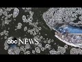 Drone views of spectacular ice floes
