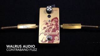 Video thumbnail for Walrus Audio Contraband Fuzz by Curtis Kent
