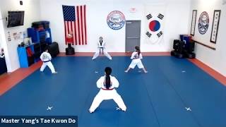 Live Class - Red Belt - 6.1.20 @ 6pm