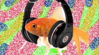 The Fish Listening To Music ( poisson rouge).