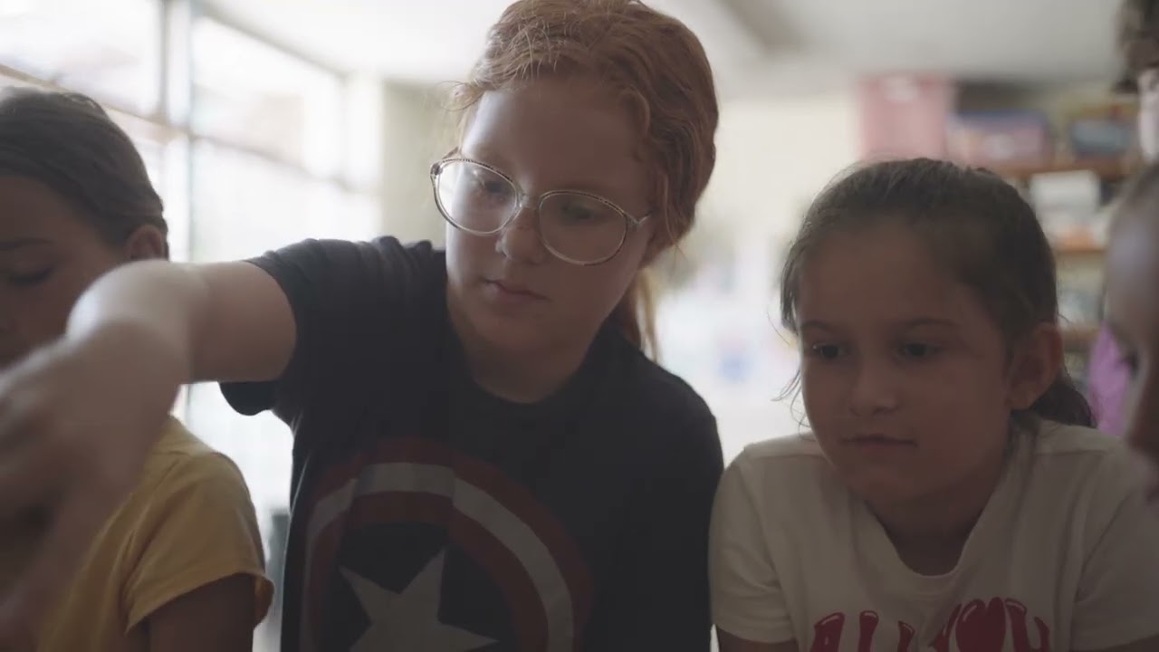 Sunflower Introduction