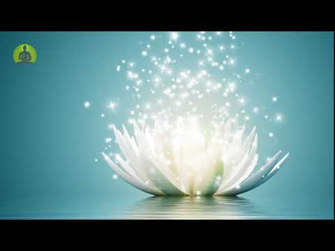 1 Hour Healing Music for The Body & Soul, Positive Thinking, Inner Relax Meditation Music