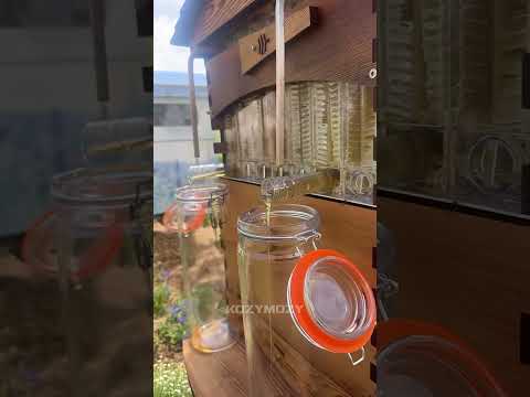 Улей будущего #факты #технологии