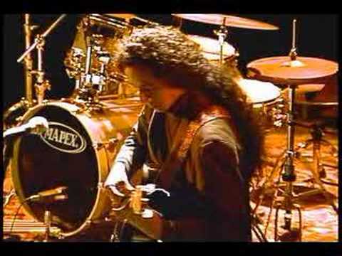 ALTIPLANO DE CHILE - PUMA PUNGO