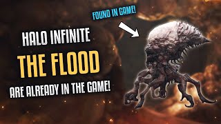 THE FLOOD ARE ALREADY IN HALO INFINITE!