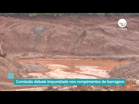 Comissão debate impunidade nos rompimentos de barragem - 20/10/21