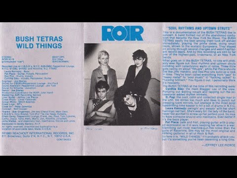 Bush Tetras - Wild Things (1983)