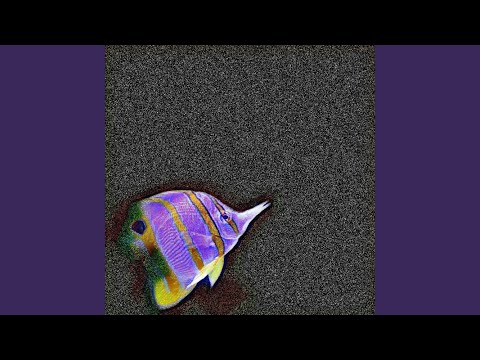 B.I.A. (Black in America)