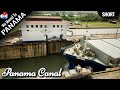 The Panama Canal #shorts